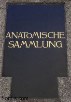 Anatomische Sammlung