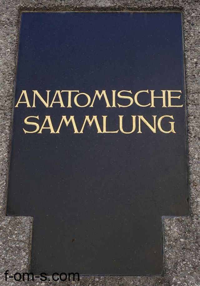 Anatomische Sammlung
